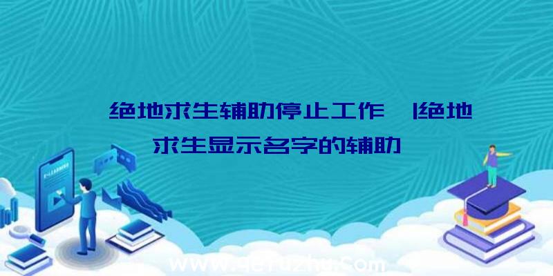 「绝地求生辅助停止工作」|绝地求生显示名字的辅助